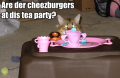 Cheezburger Tea Party - Are der cheezburgers at dis tea party?
