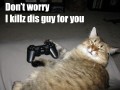 MW2 Cat - MW2 Cat says