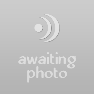 Sample Post