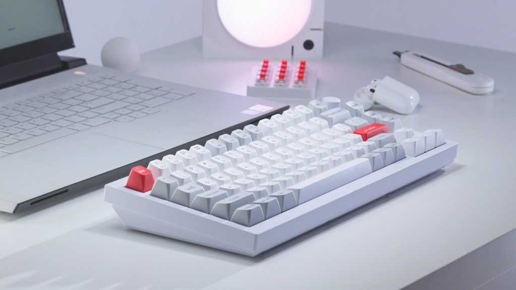 Ultimate Guide to the Best Wireless Keyboards of 2025: Unveiling the Top Bluetooth and USB Picks!