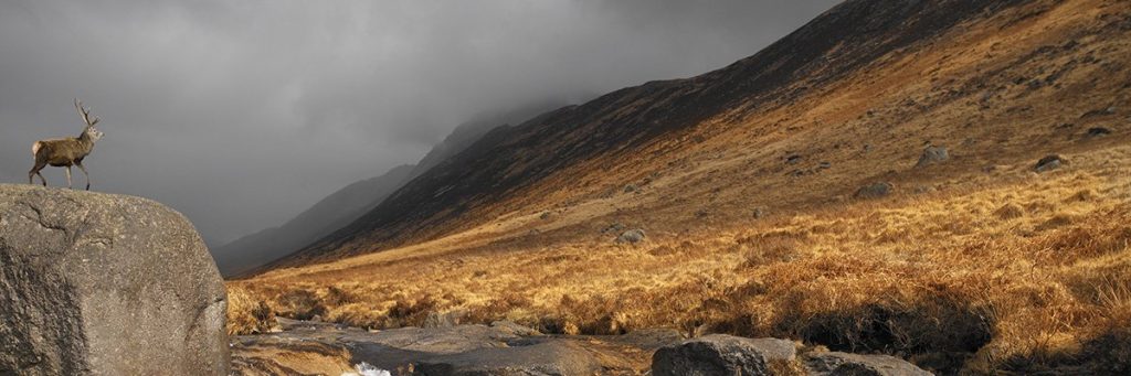 Revamping Scotland's Most Isolated Gems: A Gigabit Connectivity Revolution!