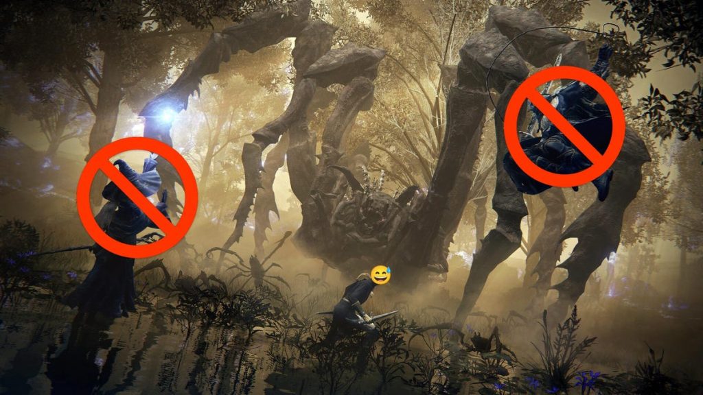 Elden Ring Nightreign: Can You Play Solo?